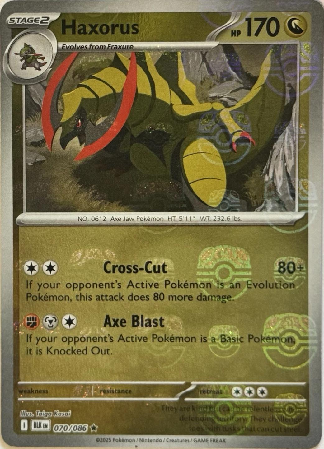 Black Bolt Haxorus [Master-Ball] Pokémon card